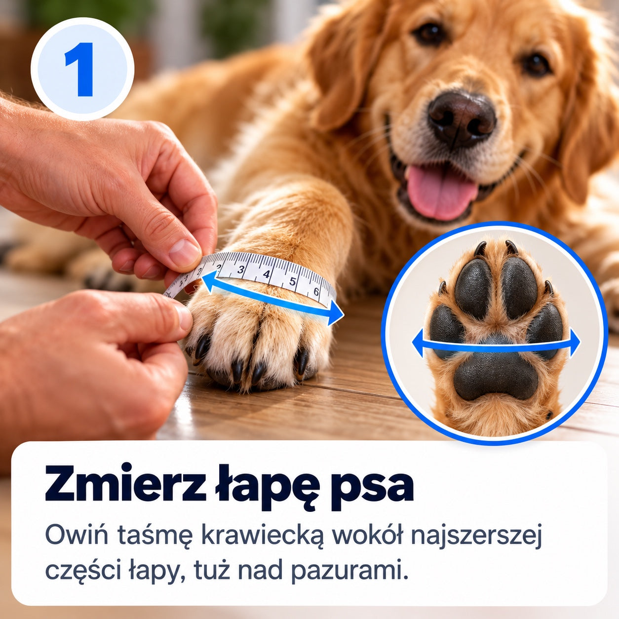 Zmierz łapę psa